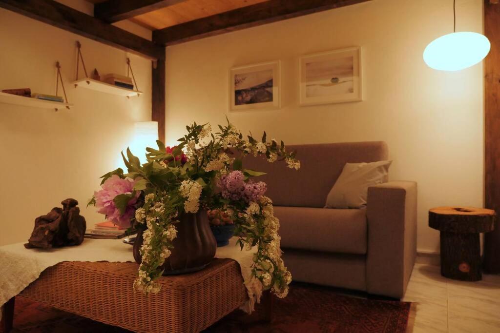 토리노 Casa Bicerin 아파트 외부 사진